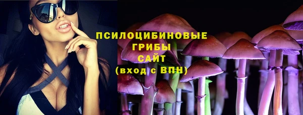 Альфа ПВП Беломорск