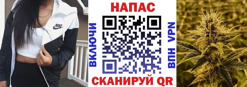 Марихуана планчик  Большой Камень 